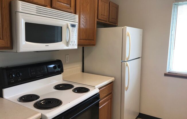 1 bed, 1 bath, 700 sqft, $750