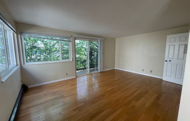 1 bed, 1 bath, $1,800, Unit 202