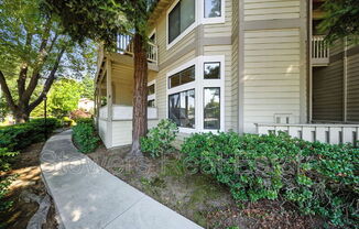 3393 SMOKETREE CMNS DR