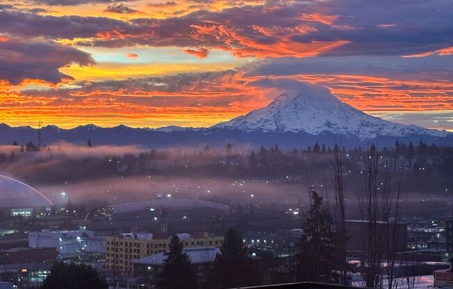 Beautiful 3 Bedroom, 2.5 Bathroom Townhome in Tacoma