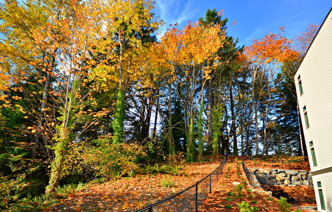 Beautiful Surroundings at Emerald Crest, Bothell