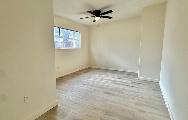 3 beds, 1 bath, $1,300