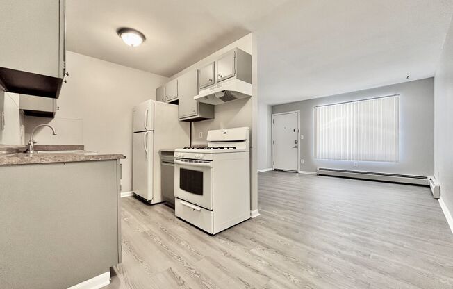 1 bed, 1 bath, 500 sqft, $875, Unit 125