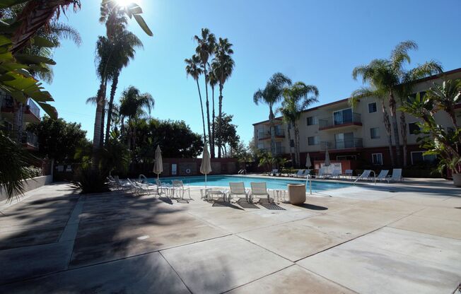 1 bed, 1 bath, $2,000, Unit C24
