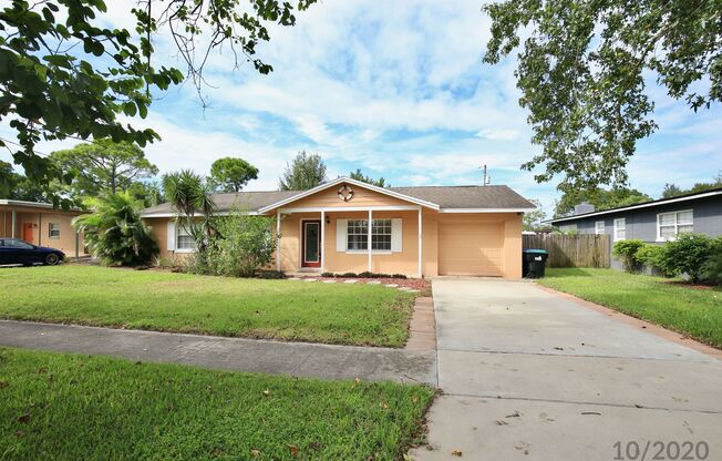 Beautiful 3/2 Spacious Pool Home with a Fenced Backyard and 1 Car Garage in Lake Marsha - Orlando!