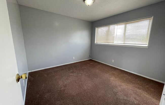 1 bed, 1 bath, $1,700, Unit T29