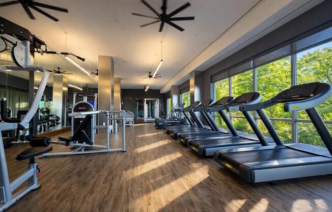 Studio, 1 bath, $2,995, Unit 15F