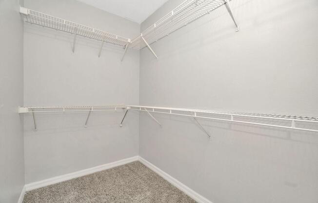 A spacious, empty closet featuring white wire shelving mounted on light gray walls. The floor has a plush carpet, and the overall design is minimalist, with no items stored in the closet. Natural light may be present, highlighting the clean, uncluttered space.