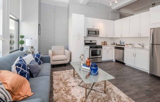 Library Lofts South Loop Chicago  1 Bed - 1 Bath