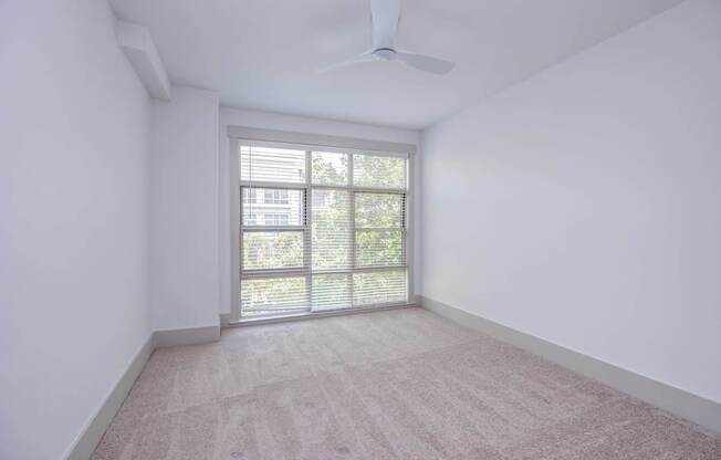 A room with a carpeted floor and a window with blinds.