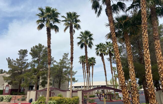 1 bed, 1 bath, $1,200, Unit # 1206