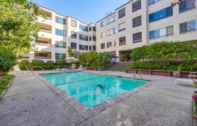 1 bed, 1 bath, $3,250, Unit #221