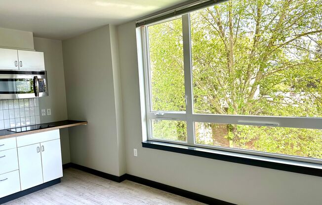 Studio, 1 bath, 238 sqft, $1,095, Unit 307