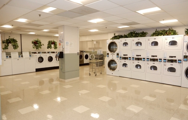 1 bed, 1 bath, 850 sqft, $3,300, Unit 6J