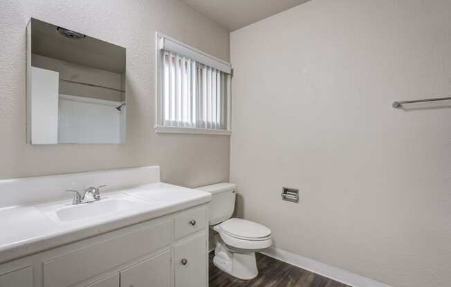 a bathroom with a sink toilet and mirror