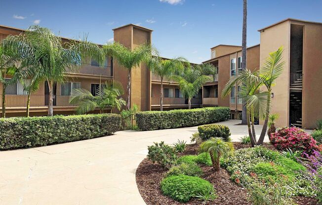 Dorchester Apartments | Spacious 1 & 2 Bedroom Apartments Near SDSU