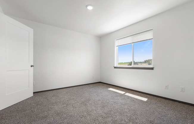 A room with a carpeted floor, a window, and a door.