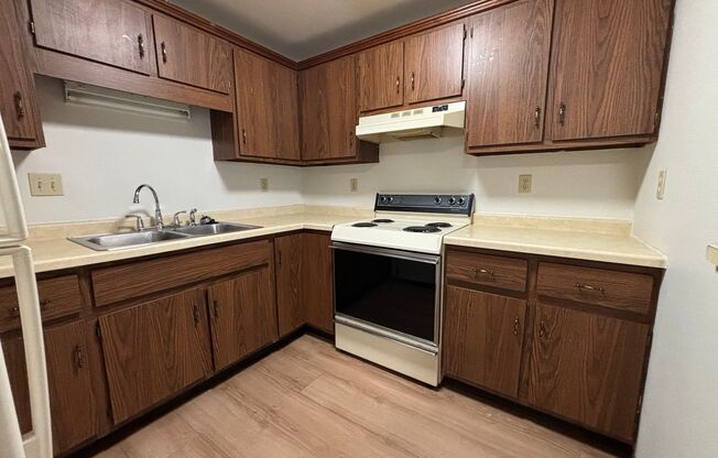 1 bed, 1 bath, 722 sqft, $870, Unit Apt. 13