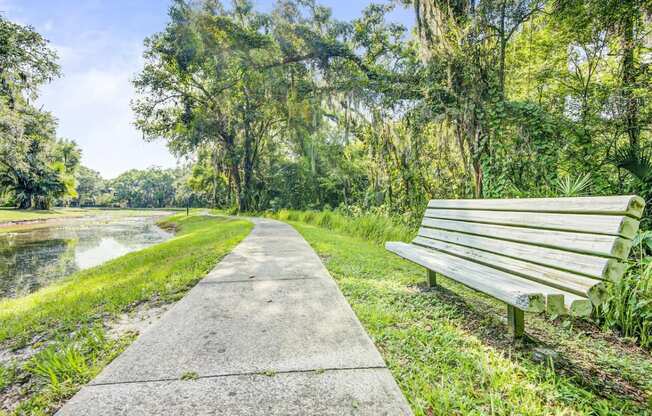 Waterfront Walkway with Bench Shaded by Trees