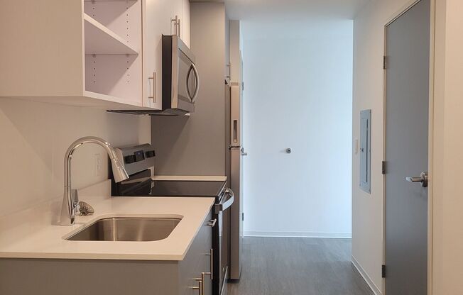 Studio, 1 bath, 317 sqft, $1,465, Unit 315