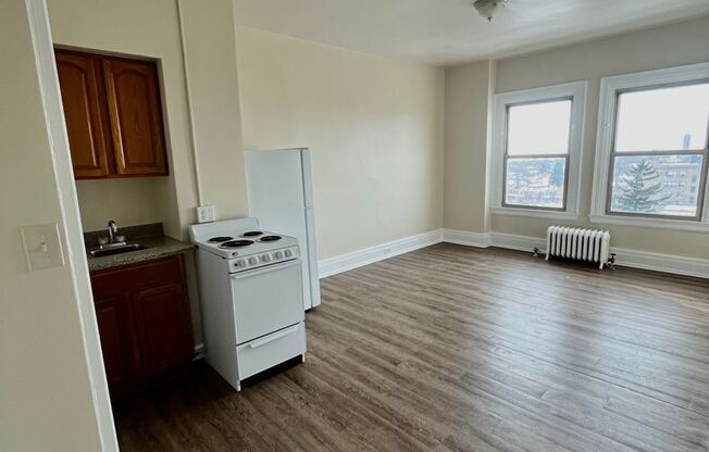 Studio, 1 bath, $900, Unit 743
