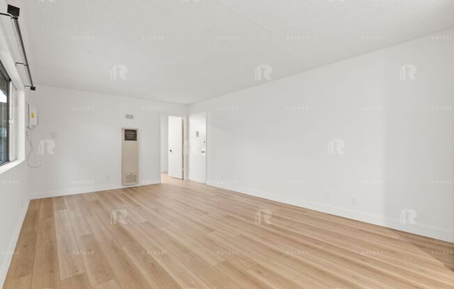 (Anna:B) Park Collins