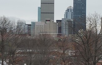 31 Park Ave.