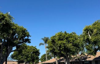 2 Bed, 1 Bath Condo- 8070 Worthy Dr., Westminster