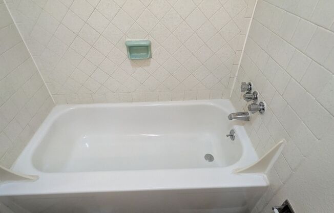 Studio, 1 bath, 350 sqft, $1,025, Unit 105