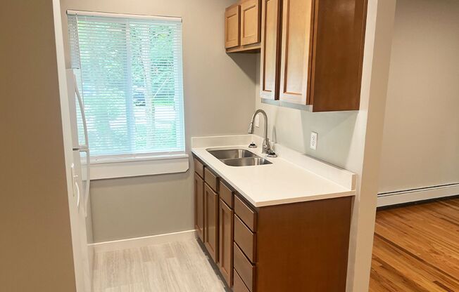 1 bed, 1 bath, 525 sqft, $995, Unit 3060-411