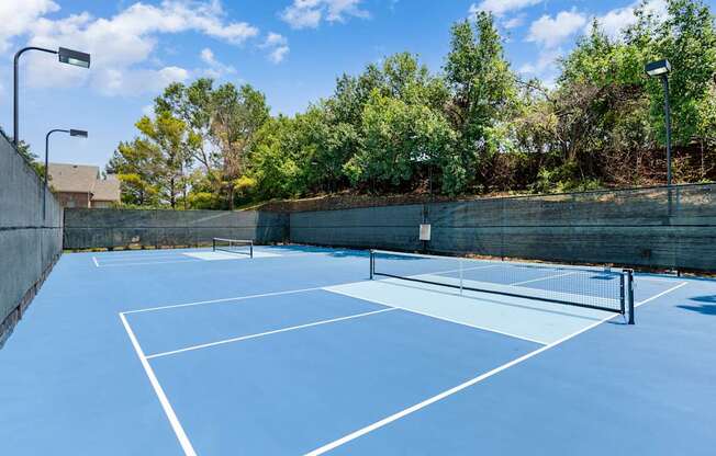 A tennis court with a net and trees in the background.