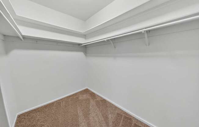 A white room with a brown carpet.