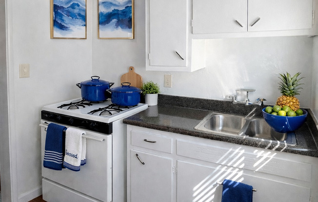 LB0356 (RUBS)  (Imp.)