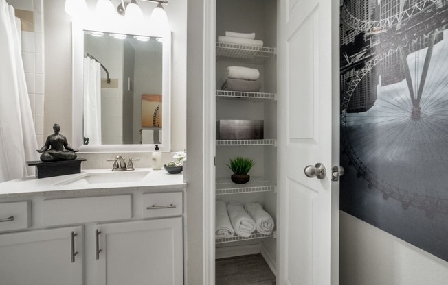 a bathroom with a sink and a mirror and a closet