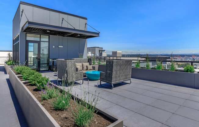 a rooftop terrace with couches and chairs and a blue bowl in the middle of the