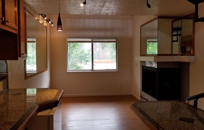 1 bed, 1 bath, 500 sqft, $1,695, Unit 316