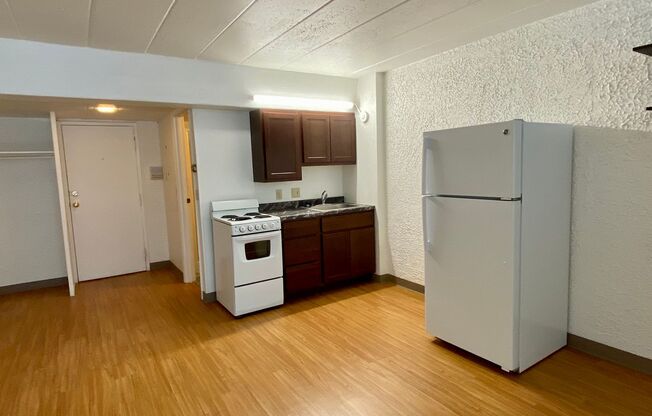 Studio, 1 bath, 400 sqft, $1,165, Unit 308