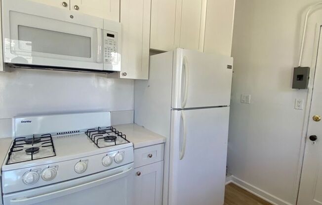 Studio, 1 bath, 600 sqft, $1,925