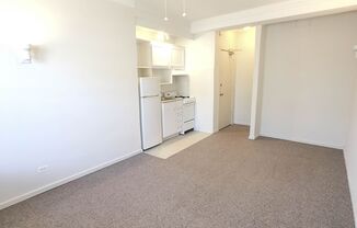 Studio, 1 bath, 233 sqft, $1,280, Unit 201