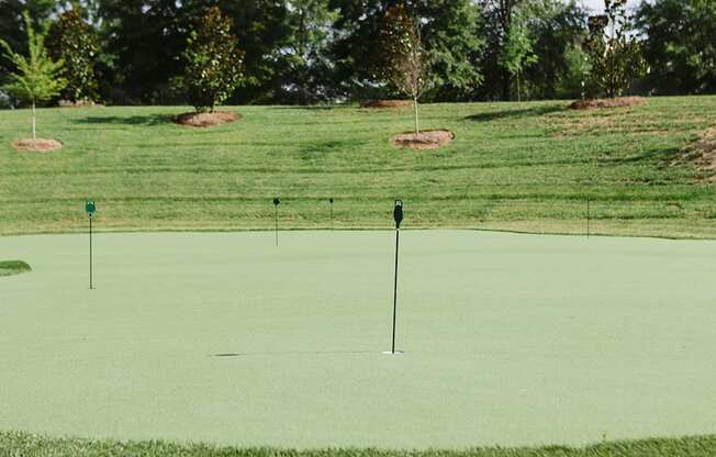 Putting green at Sycamore at Tyvola, Charlotte, 28217