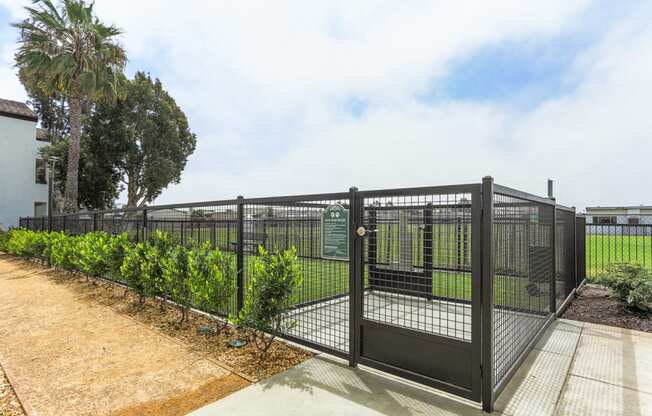 Newport Palms Apartments Pet Park Gate and Entrance