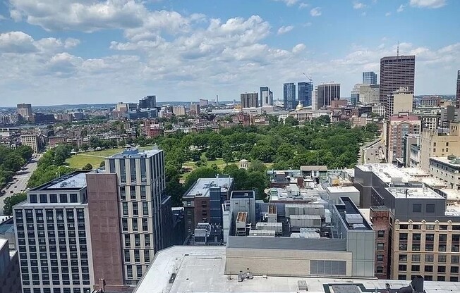 Studio, 1 bath, 427 sqft, $3,200, Unit 24D