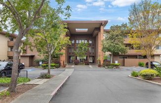 1327 Webster St #B305 - Studio | 1 bath | Condo