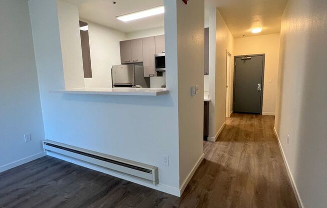 Studio, 1 bath, 400 sqft, $1,795, Unit 202