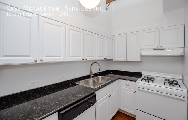 1251 W BELDEN AVE