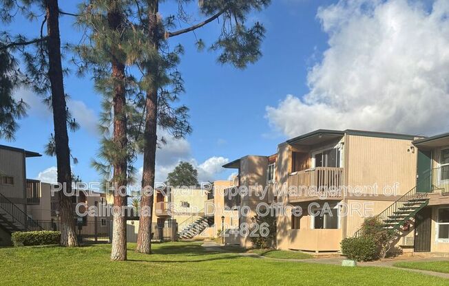 480 JAMACHA