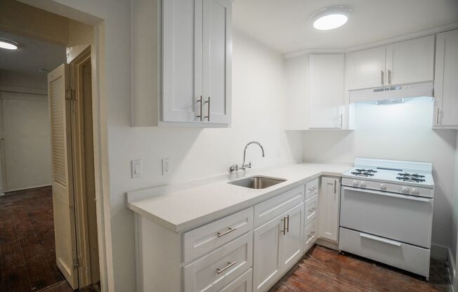 8TH 501 &amp; MAGNOLIA 803