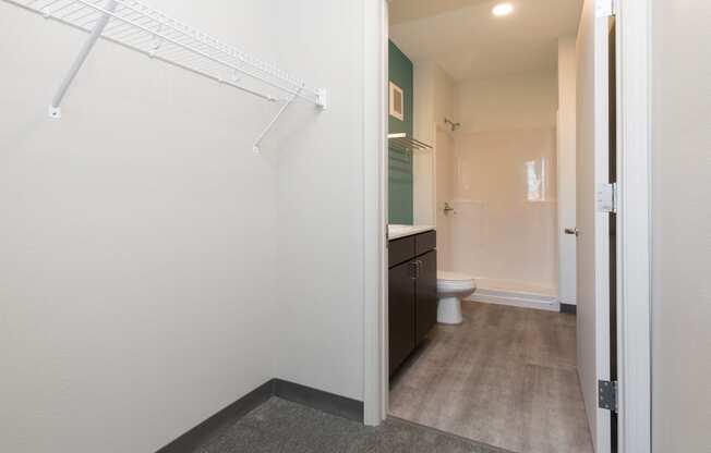 Spacious closet and laundry area