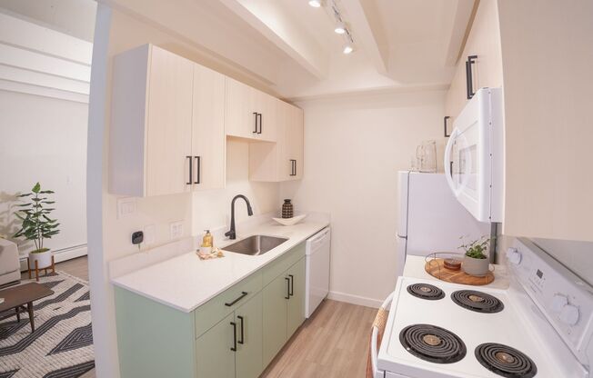 Studio, 1 bath, 445 sqft, $1,199, Unit 207