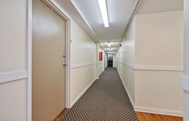 Studio, 1 bath, 487 sqft, $1,275, Unit Fifth 303